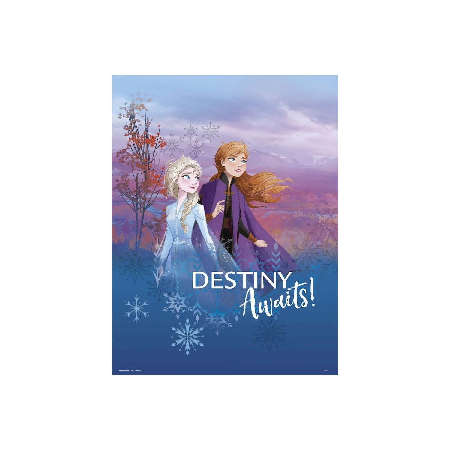 Print 30X40 Cm Disney Frozen Ii Destiny Waits 3 Print 30X40 Cm Disney Frozen Ii Destiny Waits